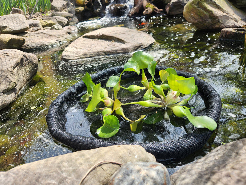 Floating Pond Plant Protectors