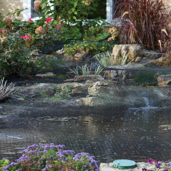 Fall Debris Control: Keeping Your Pond Clean During Leaf Season