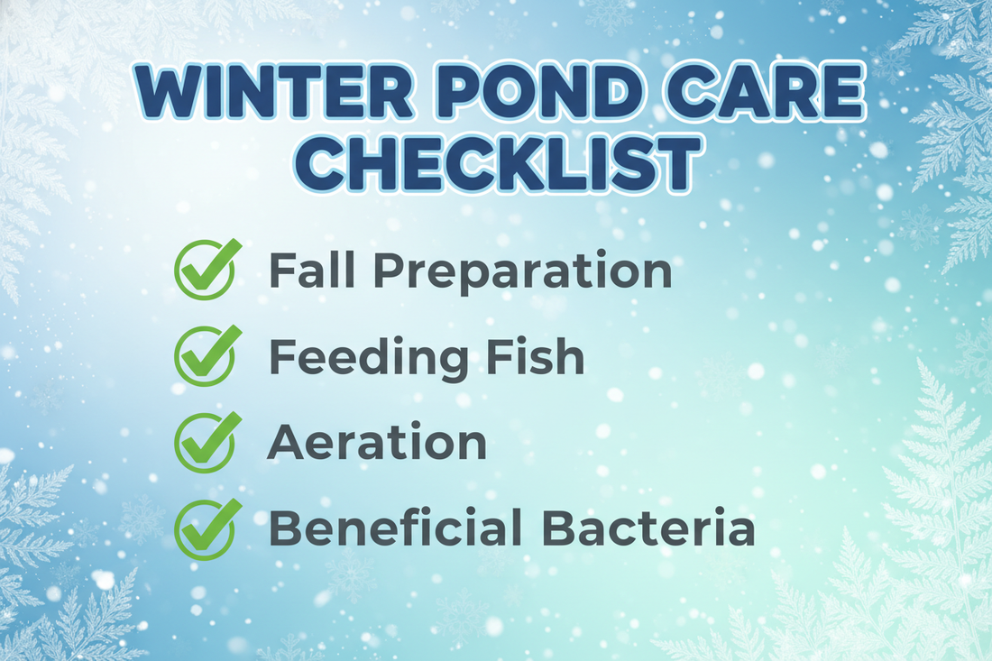 Quick Winter Pond Checklist