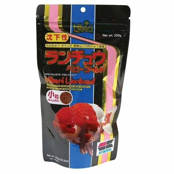 Hikari Lionhead, 12.30 Ounces