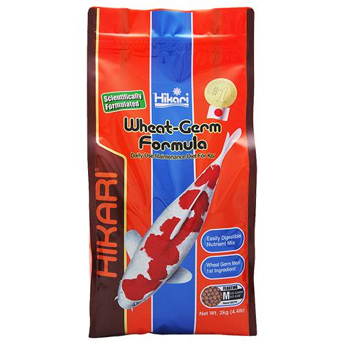 Hikari Wheat-Germ Koi Food - Floating