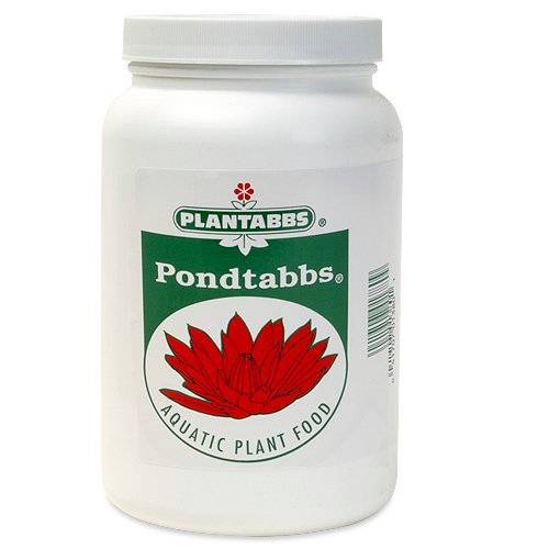 PondTabbs Aquatic Plant Food