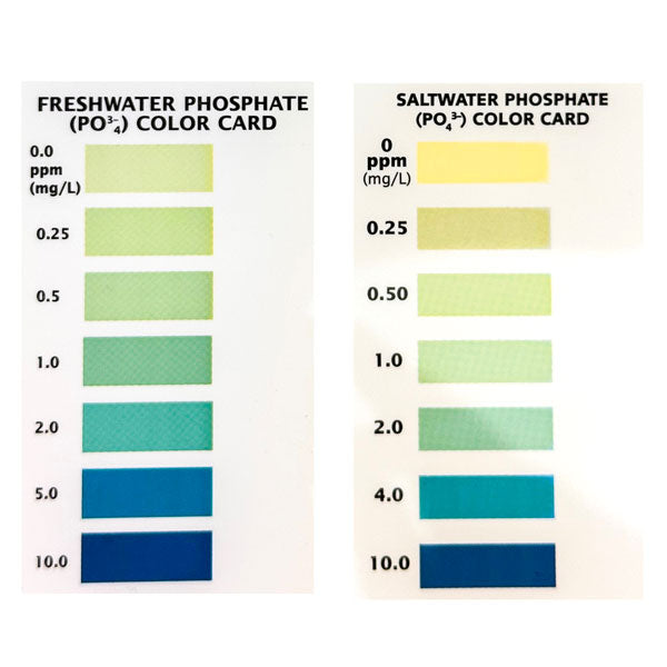 API Phosphate Test Kit