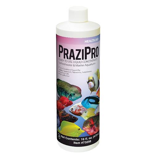 Hikari PraziPro