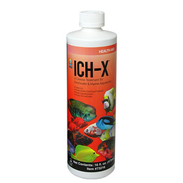 Hikari Ich-X