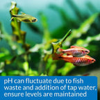 API Freshwater Aquarium pH Test Kit