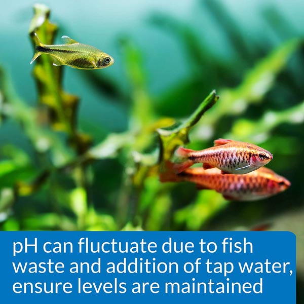 API Freshwater Aquarium pH Test Kit