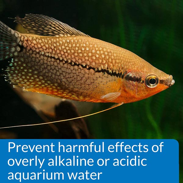 API Freshwater Aquarium pH Test Kit