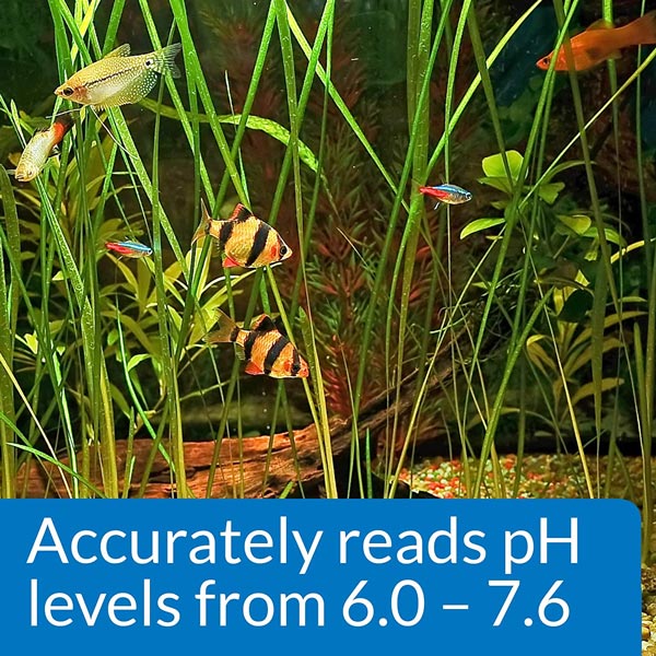 API Freshwater Aquarium pH Test Kit