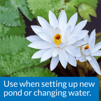 API Pond Chlorine & Heavy Metal Neutralizer, 32 Ounces