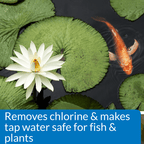API Pond Chlorine & Heavy Metal Neutralizer, 32 Ounces