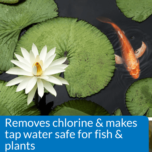 API Pond Chlorine & Heavy Metal Neutralizer, 32 Ounces