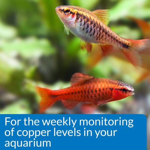 API Pond Copper Test Kit 90 Tests