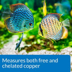 API Pond Copper Test Kit 90 Tests