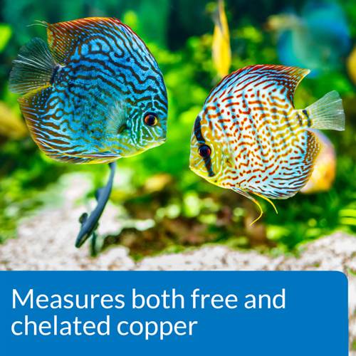 API Pond Copper Test Kit 90 Tests