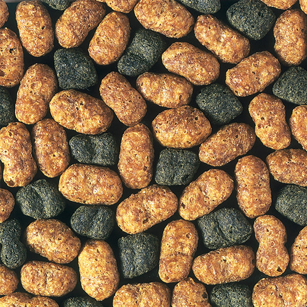 Hikari Hi-Growth Koi Food - Floating, Large Pellets, 4.4 lbs.