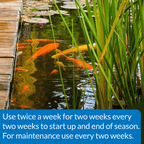 API Pond Pond-Zyme Plus, 8 Ounces