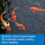 API Pond AccuClear, 32 Ounces