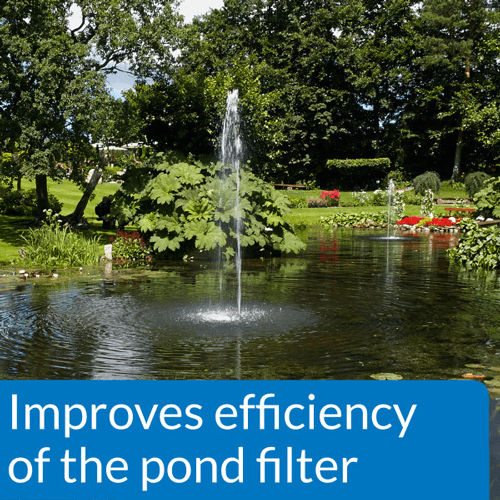 API Pond AccuClear, 1 Gallon