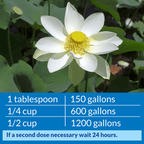 API Pond AccuClear, 1 Gallon