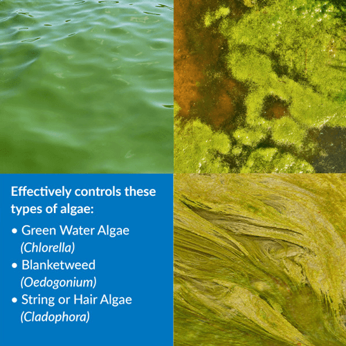API Pond AlgaeFix