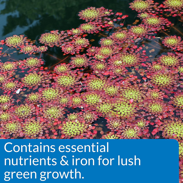API Pond Aquatic Plant Food Tablets 25-Ct
