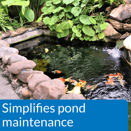 API Pond Ecofix, 1 Gallon