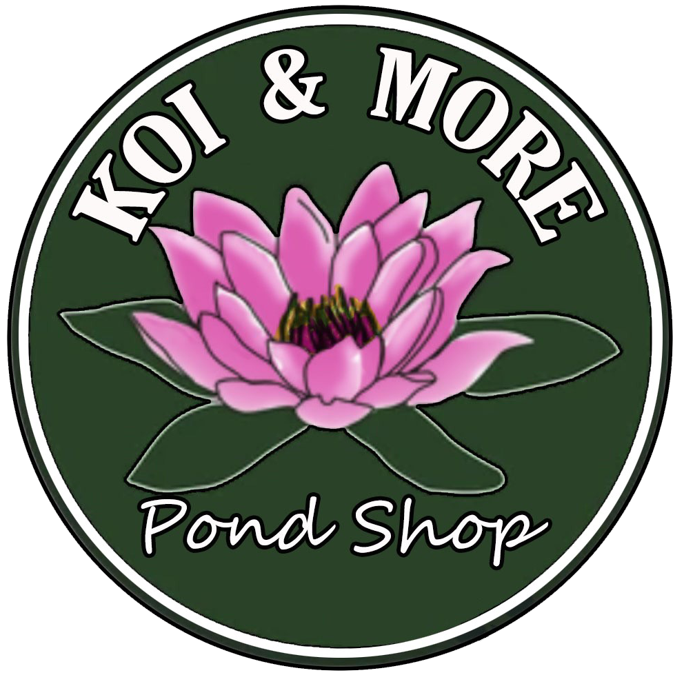 Koi & More Pond Shop