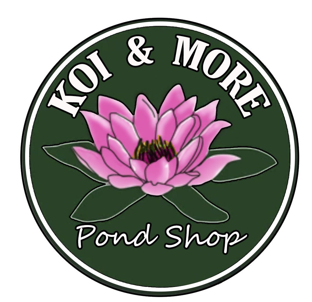 Koi & More Pond Shop ONLINE Gift Card