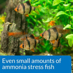 API Pond Ammonia Test Kit 130 Tests