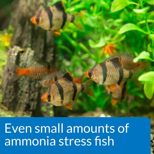 API Pond Ammonia Test Kit 130 Tests