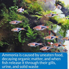 API Pond Ammonia Test Kit 130 Tests