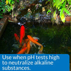API Pond pH Down, 16 Ounces