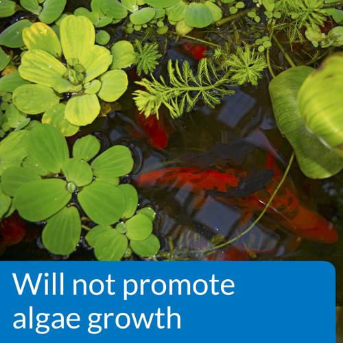 API Pond pH Down, 16 Ounces