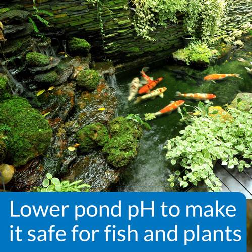 API Pond pH Down, 16 Ounces