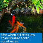 API Pond pH Up, 16 Ounces