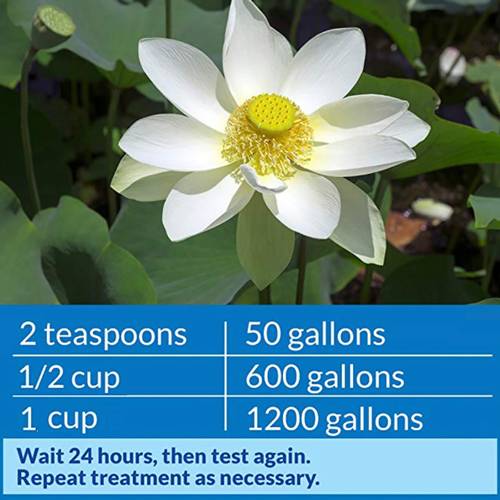 API Pond pH Up, 16 Ounces