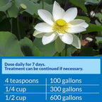 API Pond PimaFix, 16 Ounces