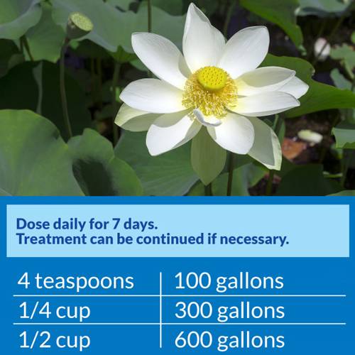 API Pond PimaFix, 16 Ounces