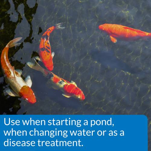 API Pond Aquarium & Pond Salt 50 lbs.