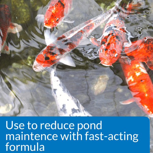 API Pond Simply Clear, 64 Ounces