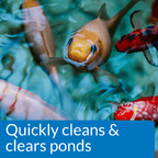 API Pond Simply Clear, 32 Ounces