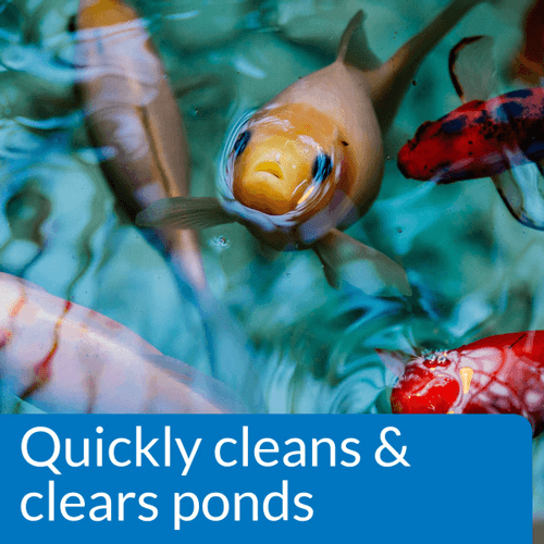 API Pond Simply Clear, 32 Ounces