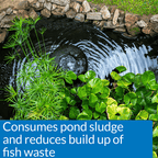 API Pond Simply Clear, 64 Ounces