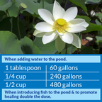 API Pond Stress Coat, 1 Gallon