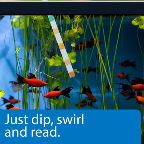 API Pond 5 in 1 Pond Test Strips 25count