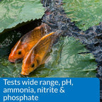 API Pond Master Liquid Test Kit