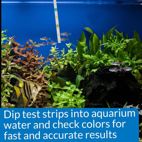 API Pond 5 in 1 Pond Test Strips 25count