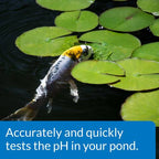 API PondCare Wide Range pH Test Kit