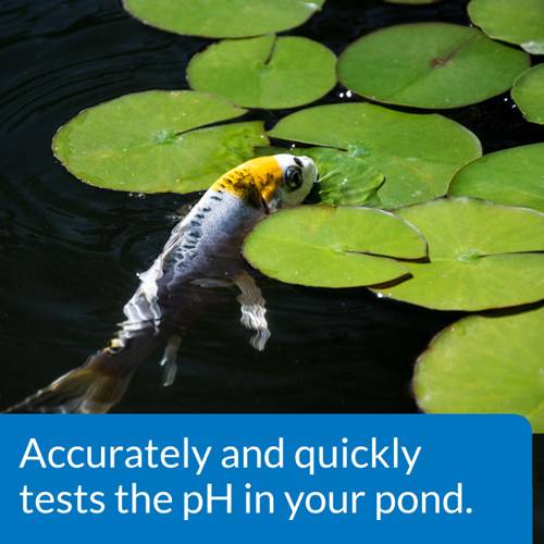 API PondCare Wide Range pH Test Kit